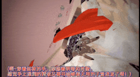 新作-贱货妮露沦为黑人的精液便所(中)-第2张图片-萌站 新作-贱货妮露沦为黑人的精液便所(中)-第2张图片-萌站