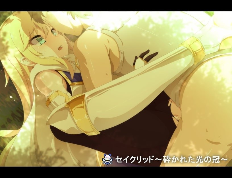 PC/RPG/#セイクリッド~砕かれた光の冠~ 官方中文版+存档-第3张图片-萌站 PC/RPG/#セイクリッド~砕かれた光の冠~ 官方中文版+存档-第3张图片-萌站