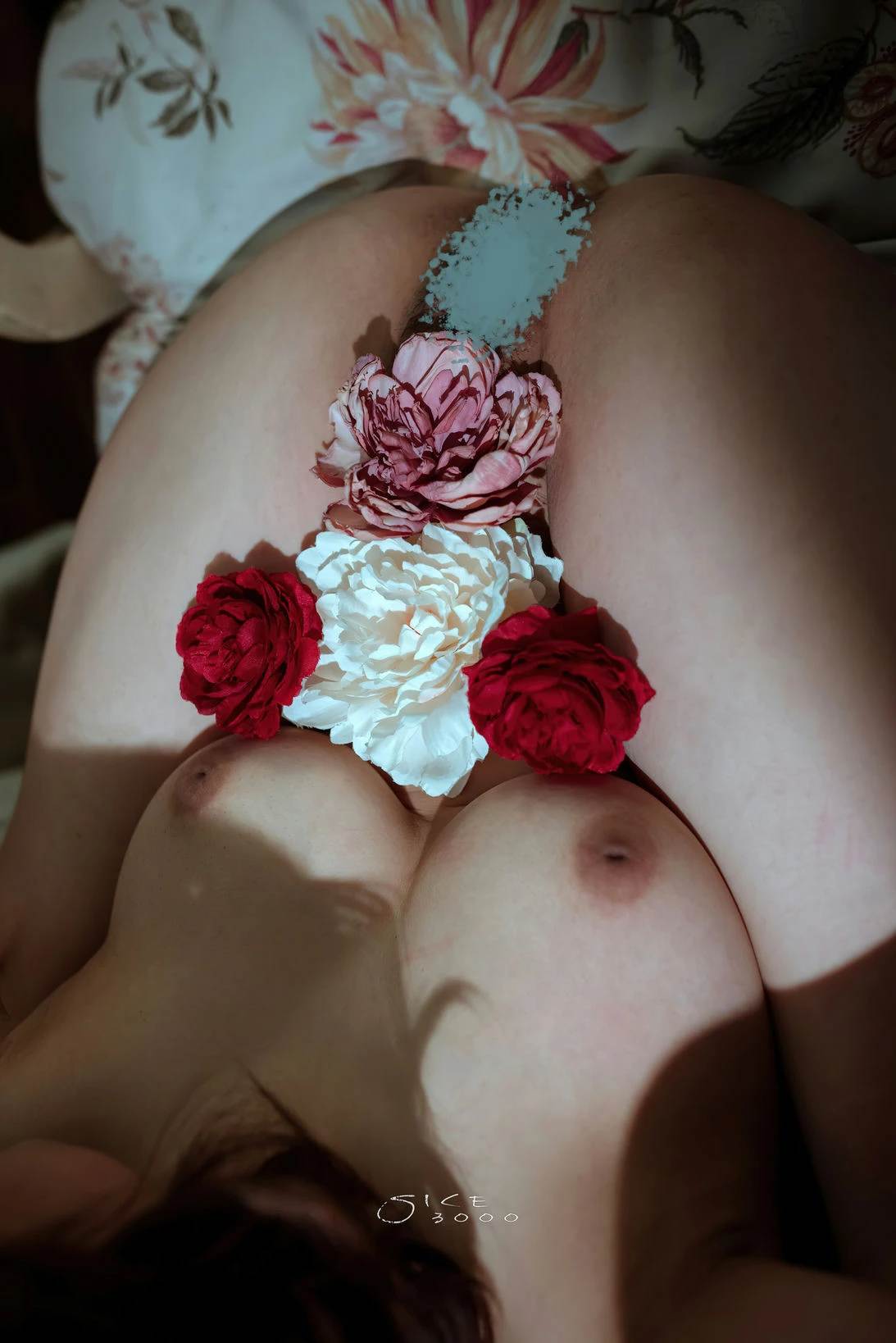 视=14【写真合集】[清池]唯美人体摄影作品 14套合集 【6.09G】-第3张图片-萌站
