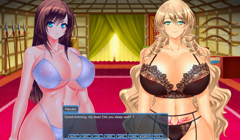 [日式RPG/官中] 地牢女英雄 Climax Heroines Build.12791812 STEAM官中版 正式版+DLC [500M]-第2张图片-萌站