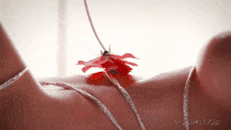 Beauty Queen Mercy-第3张图片-萌站