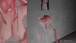 Bremerton that's stuck in a wall with her butt outside-第2张图片-萌站