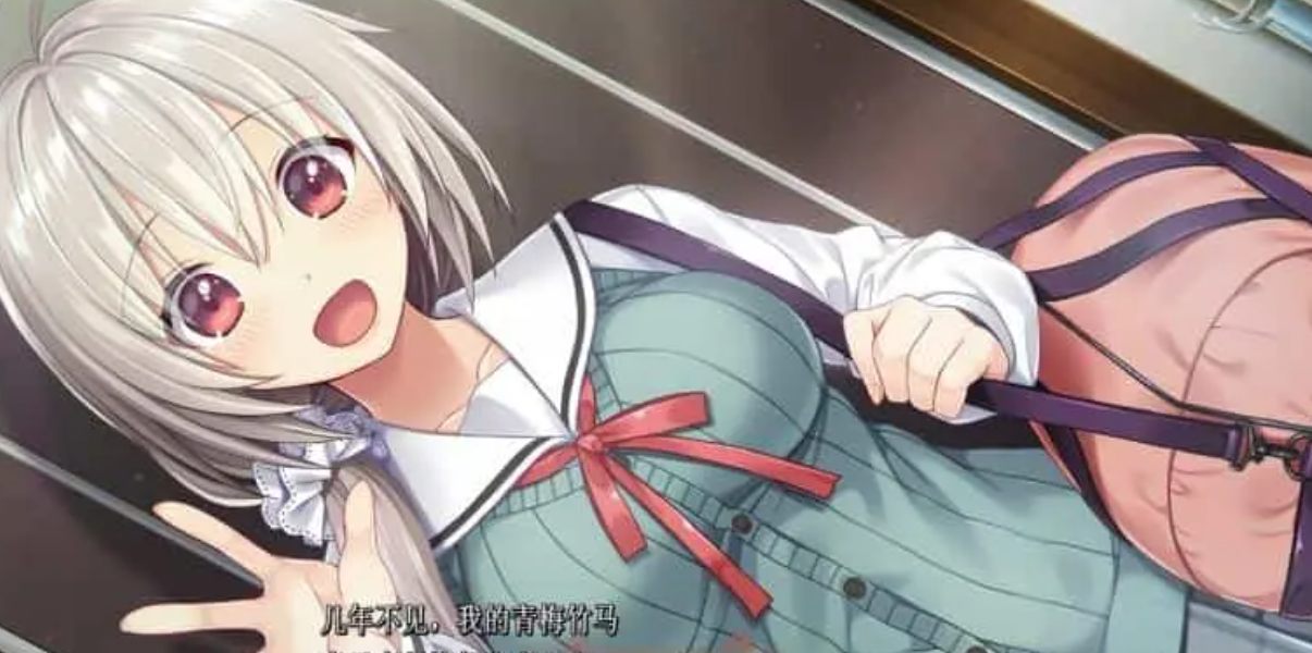 [同居/青梅竹马]尽情撒娇，请更多的依赖我吧，哥哥！ 汉化版 [500MB]-第2张图片-萌站