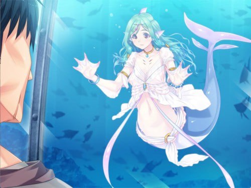 PC/.ADV/#魔物娘之馆 彗星馆异形录 人鱼之篇~ 全CG存档