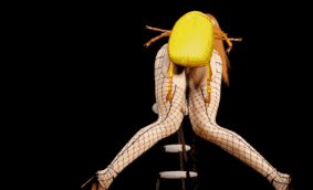 新作-【insect】 doa kasumi-第13张图片-萌站