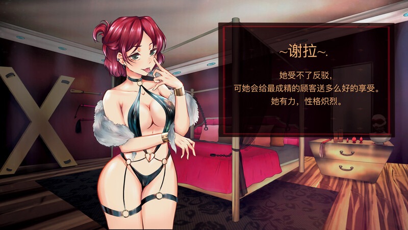  [日式SLG/官中] 天堂喜悦 Paradise Delight V2.0 STEAM官中步兵版+全DLC [800M]-第3张图片-萌站