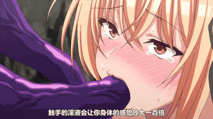 [熟肉][里番]エルフに紋を付ける本 The Animation LEVEL：1-第8张图片-萌站
