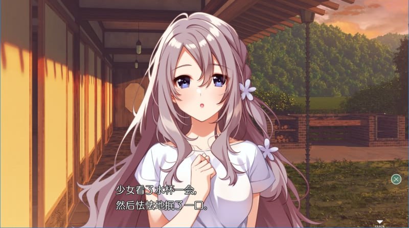 PC/ADV/#夏之终熄 #夏ノ終熄  个人汉化版+全CG存档★全CV-第3张图片-萌站