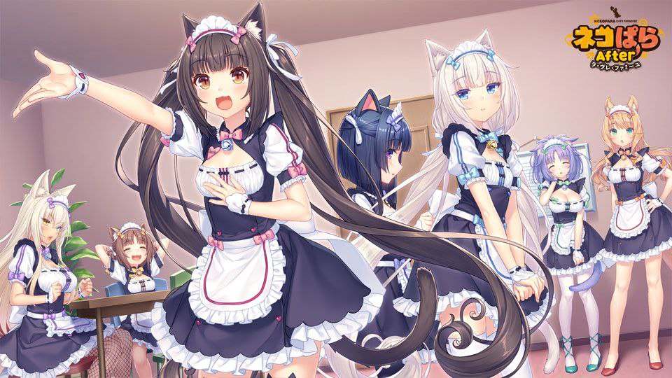 🎮 #NEKOPARA_After #貓娘樂園After-第3张图片-萌站