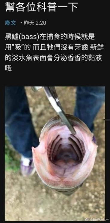 【日式/SLG/整活儿】艹鱼模拟器 異魚 igyo DL正式版【100M新作】【序号1914】-第2张图片-萌站