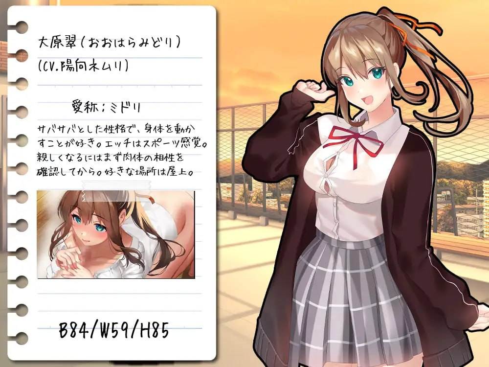 [RPG/PC]有点碧池的女高中生 -从炮友开始的青春 --第5张图片-萌站