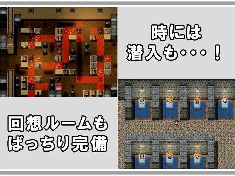 【PC/汉化/动态】公会沉睡公主（ギルドの眠り姫） v1.0-第3张图片-萌站