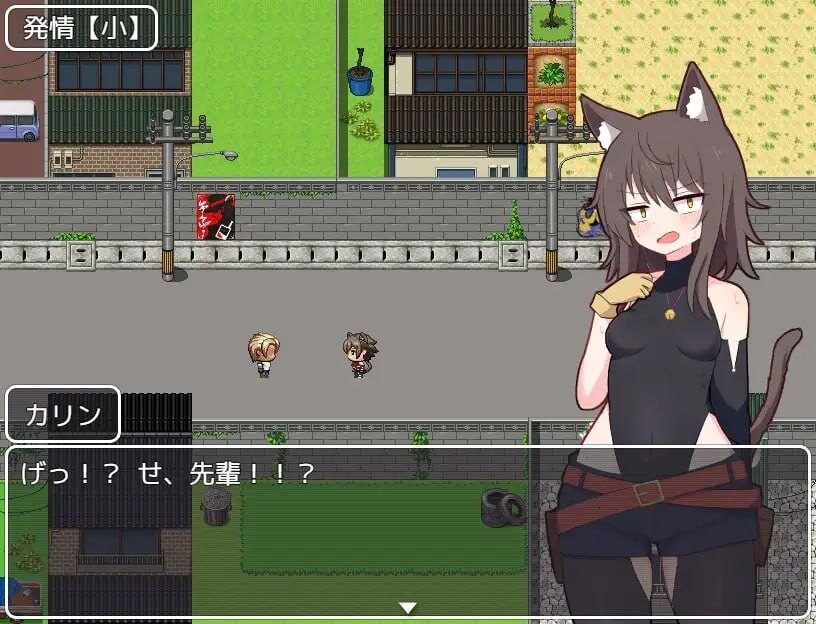 [RPG汉化PC]卡琳复燃 カリンの再燃 v1.02 [1.1G]D-第6张图片-萌站