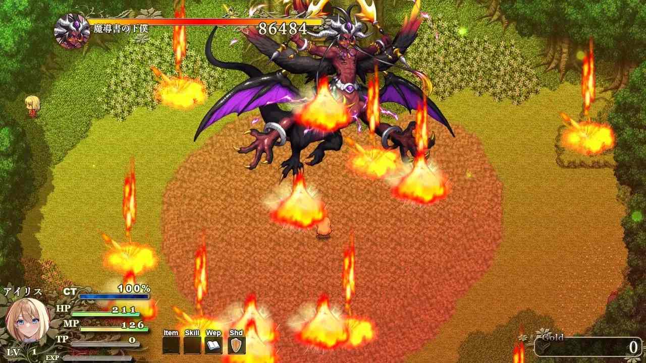 【动作ARPG/汉化】艾莉丝的魔导书（アイリスの魔導書）V1.01 AI汉化+全CG【1.77G】-第3张图片-萌站