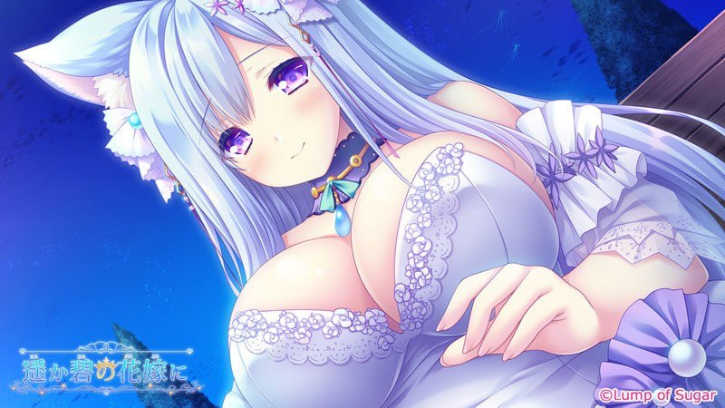 PC/ADV/#献给蔚蓝之海的新娘 #遥か碧の花嫁に 官方中文版+全CG存档-第3张图片-萌站 PC/ADV/#献给蔚蓝之海的新娘 #遥か碧の花嫁に 官方中文版+全CG存档-第3张图片-萌站