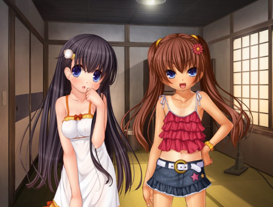 [ADV/PC/AI汉化]○少女的暑假～大叔观察日记～