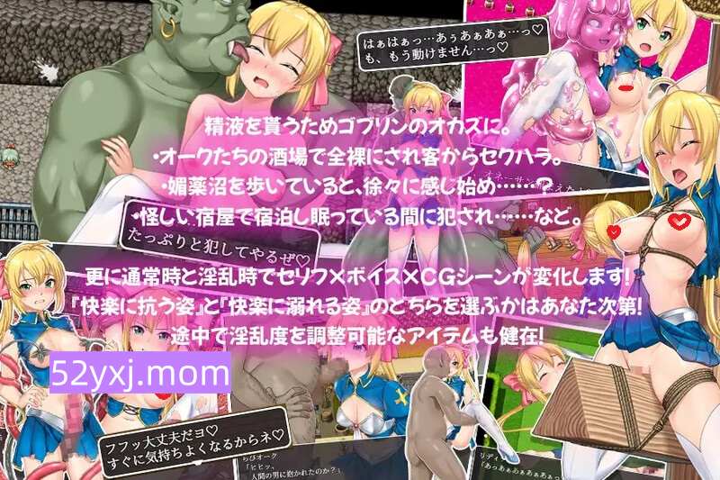 【PC/汉化/ARPG】姬骑士莉迪娜与淫欲迷宫(姫騎士リディナと淫欲のダンジョン）v1.0
