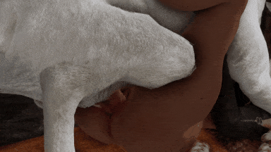 10-dogmeat-cage-fuck_-第7张图片-萌站