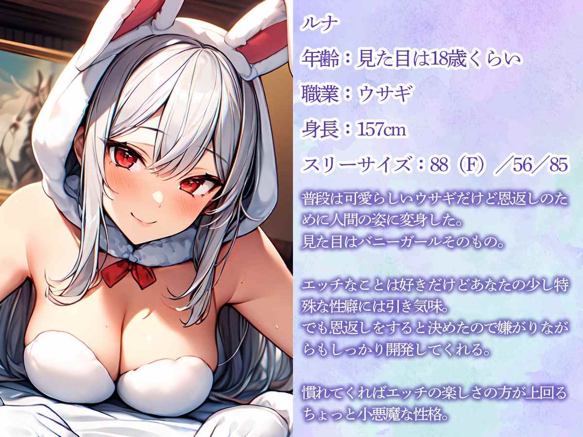RJ01321589【御伽いのり】ウサギの恩返し…こしょこしょしながら前立腺調教するバニーガール 