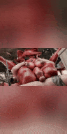 最佳 Fexa （Fnaf） 合辑-第3张图片-萌站