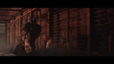 6【僵尸世界大战:劫后余生】World War Z Aftermath--集成DLCs--容量66.6GB-官方简体中文-赠多项修改器-解锁存档--正经游戏-第7张图片-萌站 6【僵尸世界大战:劫后余生】World War Z Aftermath--集成DLCs--容量66.6GB-官方简体中文-赠多项修改器-解锁存档--正经游戏-第7张图片-萌站