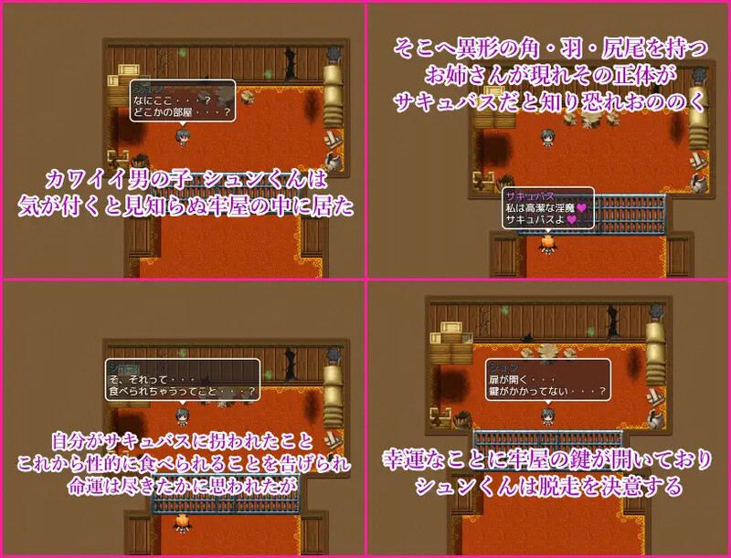 【PC/AI】魅魔之馆 被当作性诱饵拐走的少年为逃离榨精而逃走（サキュバスの館 性的な餌として拐われた少年は搾精から逃れるために脱走する）v1.0.1 
