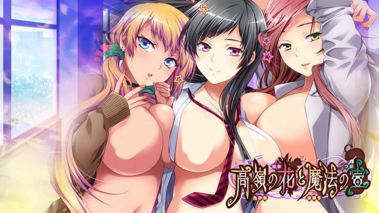 ❄️ 高岭之花和魔法之壶 Ver1.0 ❄️ 【ADV/PC/汉化/全CV/骑兵】-第2张图片-萌站 ❄️ 高岭之花和魔法之壶 Ver1.0 ❄️ 【ADV/PC/汉化/全CV/骑兵】-第2张图片-萌站