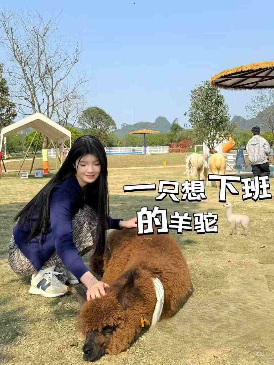 广西桂林莫韩秋02年大四学姐在科技学院学生会主席 被男友曝光做爱视频 无套后入极品炮架-第2张图片-萌站