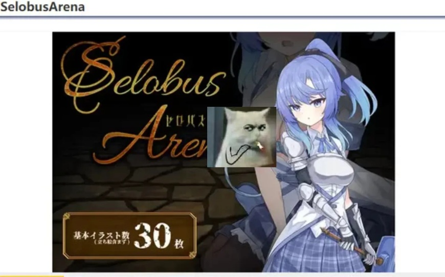 【日式/RPG/AI汉化/萌站内植】 塞洛布斯竞技场 SelobusArena AI汉化版 [2.8G新作CV]【序号2577】