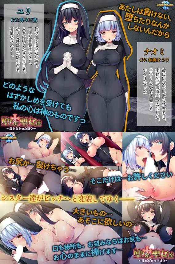【度盘/萌盘/PC/新作/ADV/群交/恶堕】堕落的圣女们～未能传达的祈愿～【共1.2GB】【MTool云翻/AI汉化】【原名：ワンオペ旅館経営記～えっちなお姉さんと一途でいたい僕～】 【2025年07月11日 发售】-第5张图片-萌站