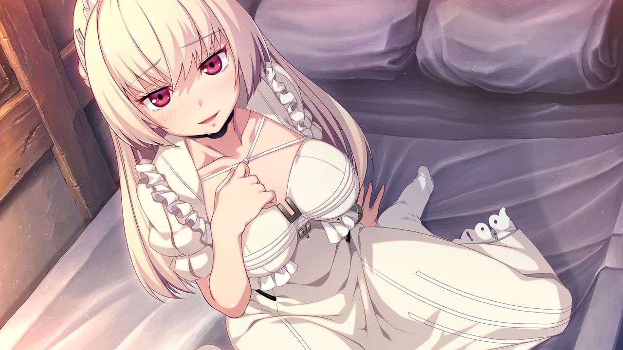[游戏CG] 略奪者の淫宴+前作 提取CG包-第9张图片-萌站
