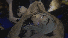 【3D动画/ricphastly】绝区零-儀玄-情乱意迷师徒情 [274M]-第5张图片-萌站