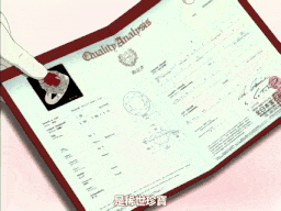 【老番新看/生肉】幻夢館～愛慾與凌辱的淫罪～ 1