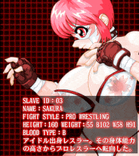 StudioS社团(珍惜资源)~奴隷闘士 BATTLE SLAVE（修复版+运行工具）-第2张图片-萌站