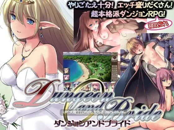[RPG汉化PC NTR]地下城与新娘 ダンジョンアンドブライド v1.1.0 [2.15G  CV]D