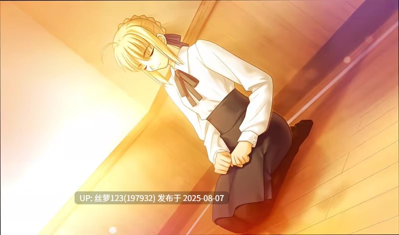 [ADV/PC]#Fatehollow ataraxia REMASTERED 官方中文版【2025年08月06日 发售】-第4张图片-萌站