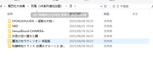 【大作/SLG/全系列/大合集】 VB系列 全系列全作品大合集+同社团其他作品+后日谈 [收录所有汉化+原版] 【85GB】【序号2789】-第3张图片-萌站