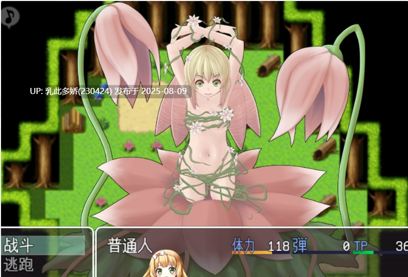 19[RPG-PC] [RPG动态AI汉化]ONE BATTLE V1.71[1.5G]-第5张图片-萌站
