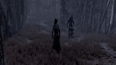 【国产/大作/ACT/官中/女祭祀/MOD/全CV】嗜血印：魅魔豪华版+全DLC（附327个MOD大合集）【25G】【序号2954】-第3张图片-萌站