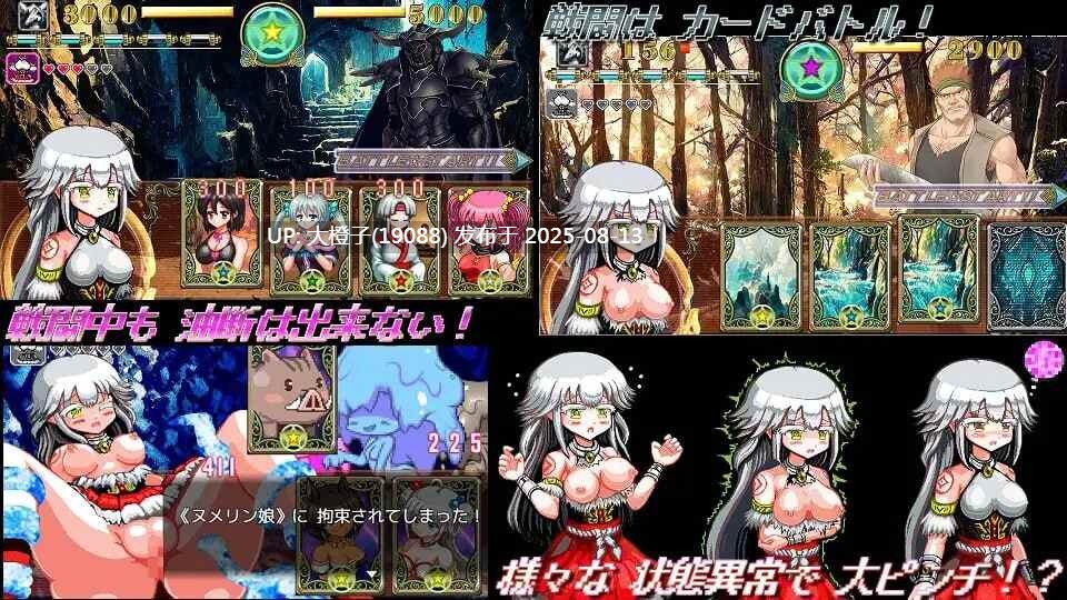 [RPG汉化PC像素动态][ギンギラドット☆スター]白龙巫女与漆黑骑士 白龍の巫女と漆黒の騎士v1.01[萌站植入] [1.5G]-第7张图片-萌站