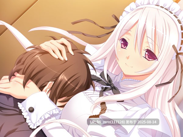 【PC/ADV/汉化/全CG】 ノーブレスオブリージュ[CLOCKUP] -第7张图片-萌站