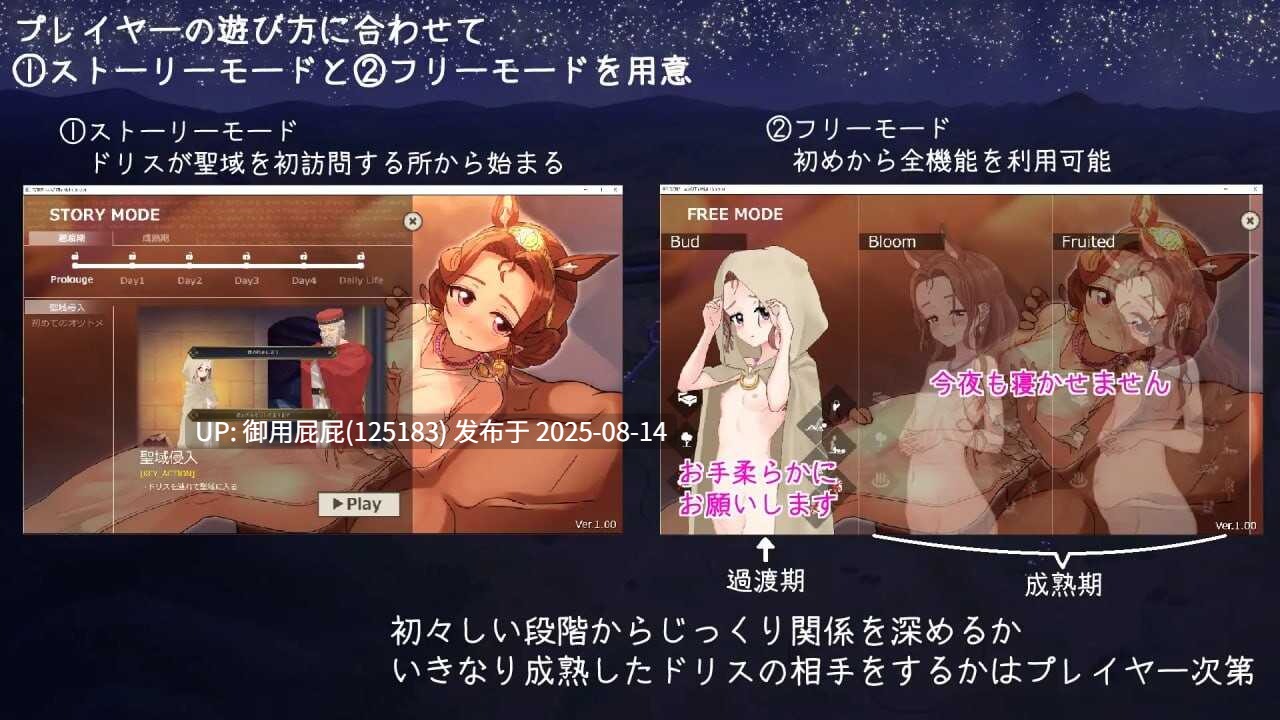 [日系SLG/官中/动态/CV] 多丽丝公主与夜晚的奥兹托梅 ドリス姫と夜のオツトメ v1.08 官方中文版 [1.15G]-第6张图片-萌站