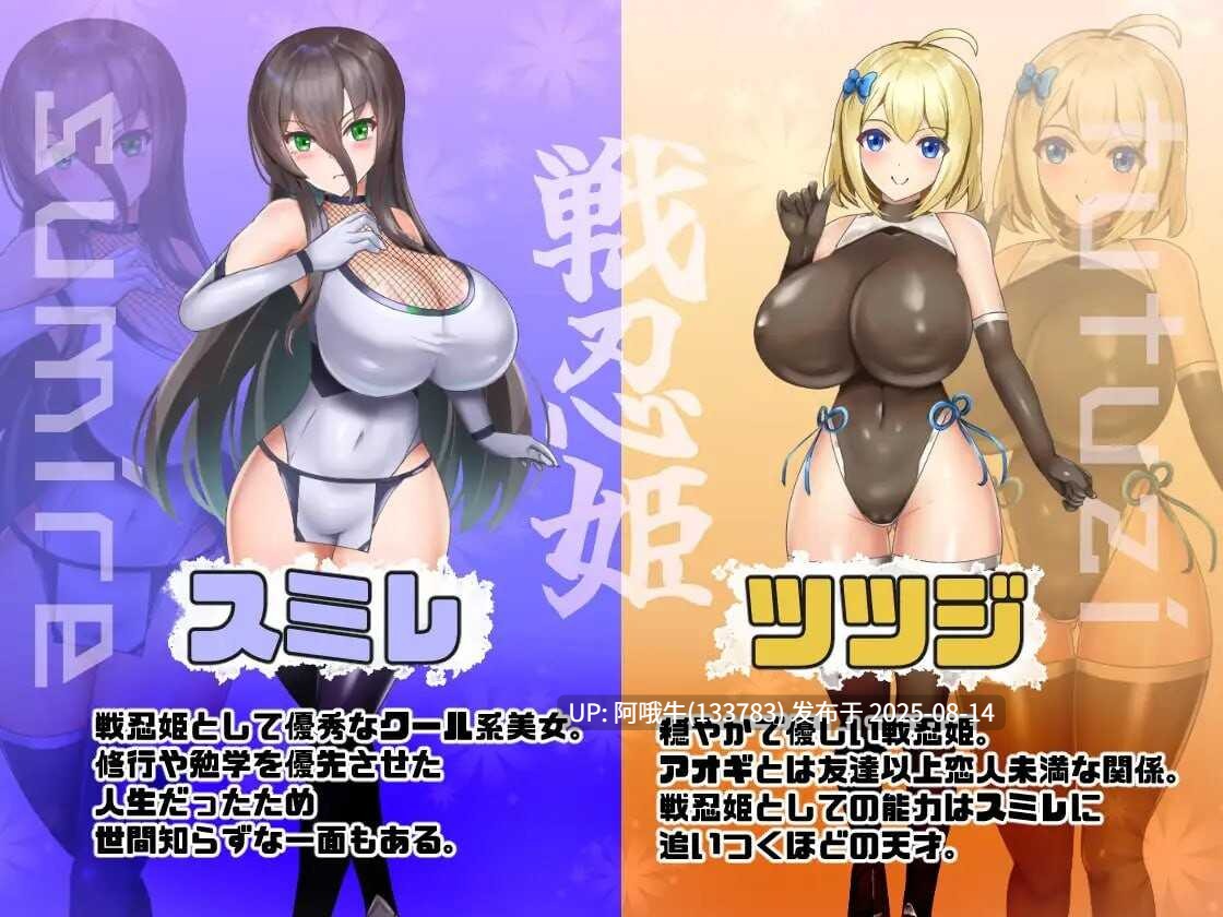 【RPG/汉化/NTR/萌站内植】恶稼业对战忍姬 悪稼業対戦忍姫 [1.09G]【序号3054】