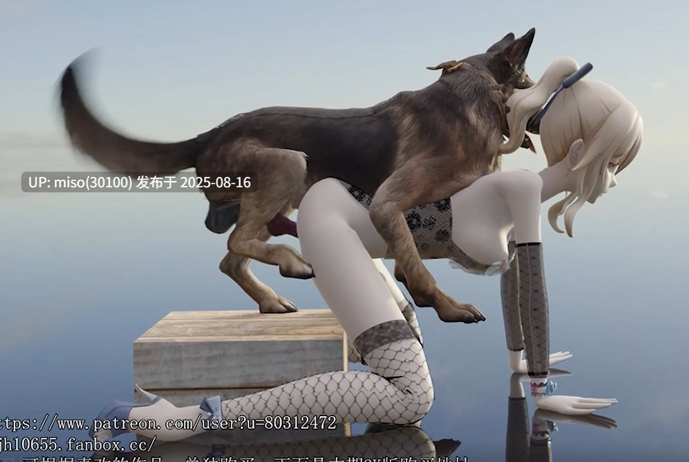 犬交琴团长