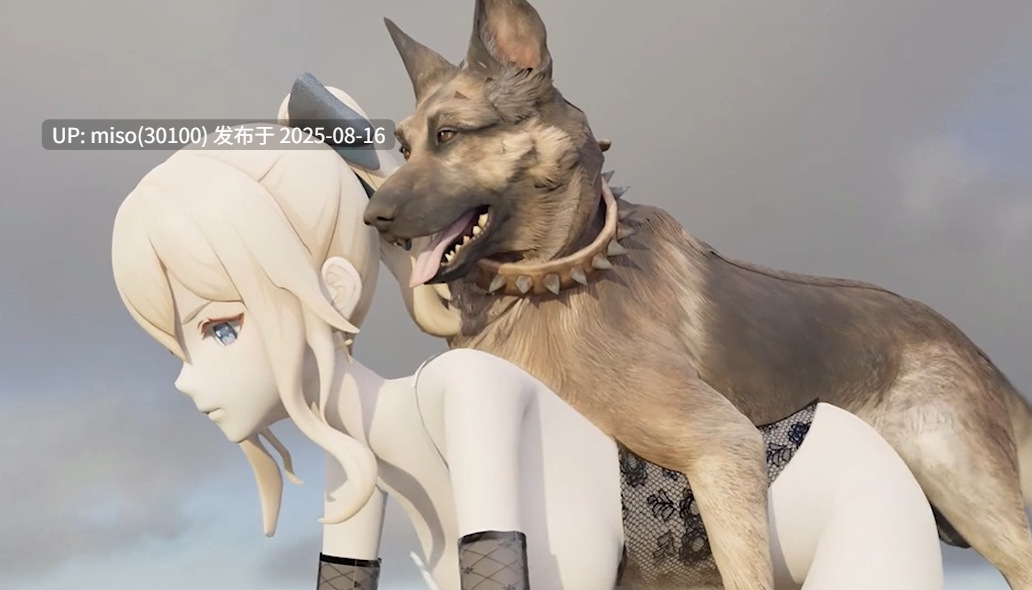 犬交琴团长-第2张图片-萌站