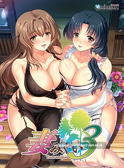 24[SLG-PC] [养成SLG+ADV汉化] 妻中蜜：1+2+3+番外 合集！完整汉化版+存档 [6.25G]-第3张图片-萌站
