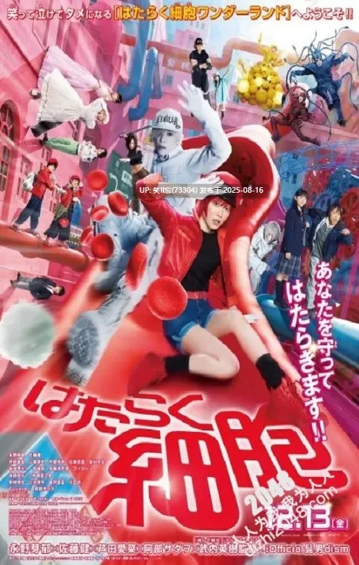工作细胞 真人版 [1v+2.6g][磁力链接]