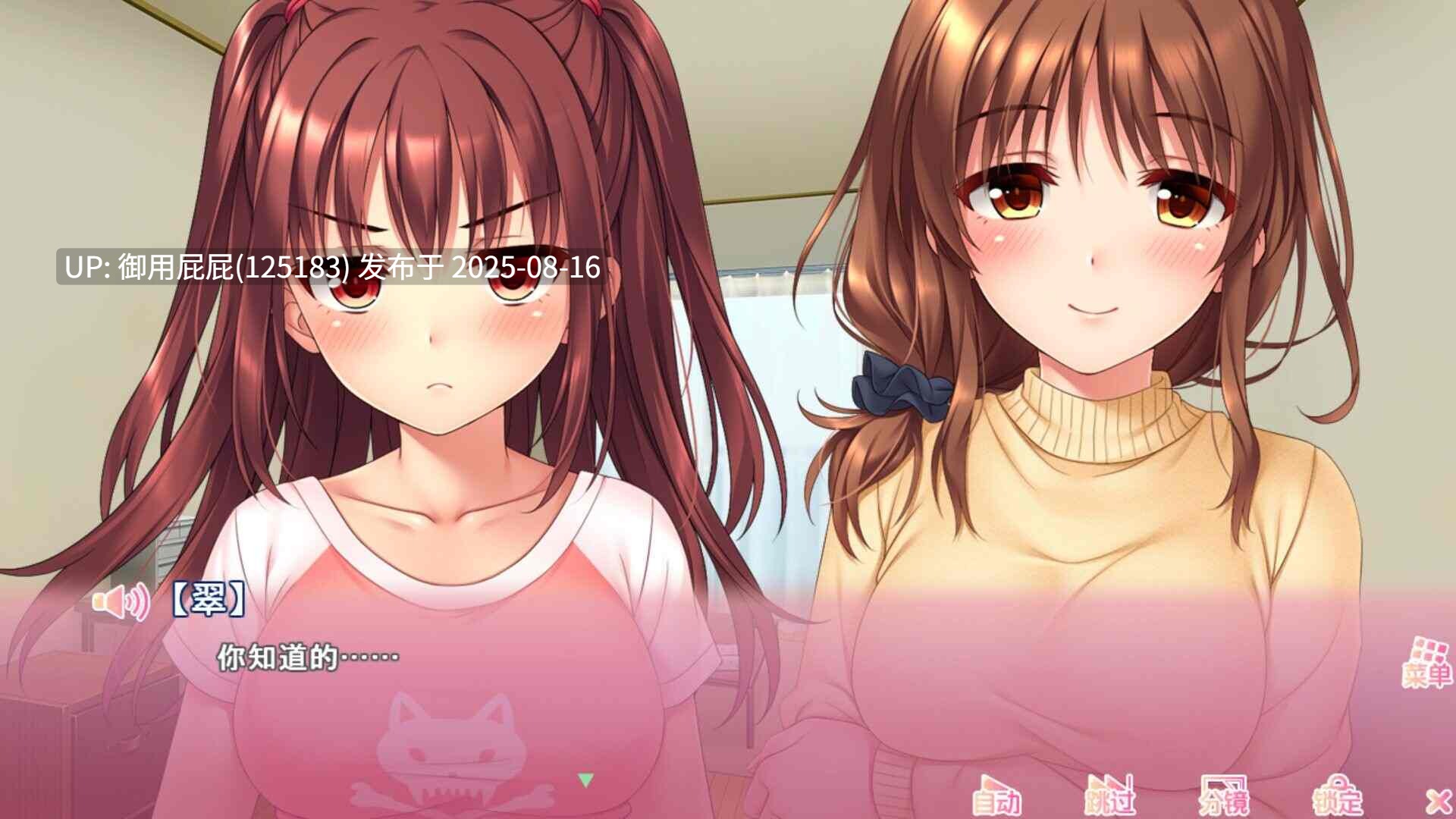 ST新作 [拔作ADV/动态/官中无码]  义妹私教辅导~哥哥我是家庭教师~ ドM妹おねだり個人レッスン～私のSEX家庭教師お兄ちゃん～ v1.01 Steam官中步兵版 [2.20G]-第5张图片-萌站