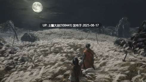 只狼：影逝两度