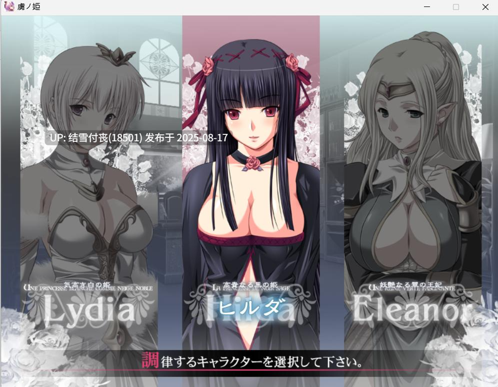 【ADV/拔作/机翻/PC/度盘/1.6G】虏ノ姫